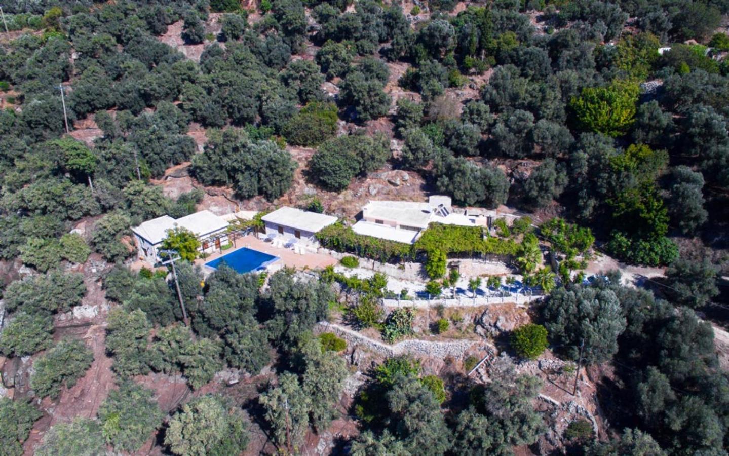 Villa Talos Palaiochora Exterior photo